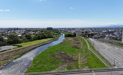 令和5年度工事　単独公共河川内緩衝帯整備（鳥獣害対策）伐木業務委託　工事写真