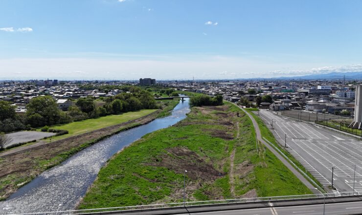 令和5年度工事　単独公共河川内緩衝帯整備（鳥獣害対策）伐木業務委託　工事写真