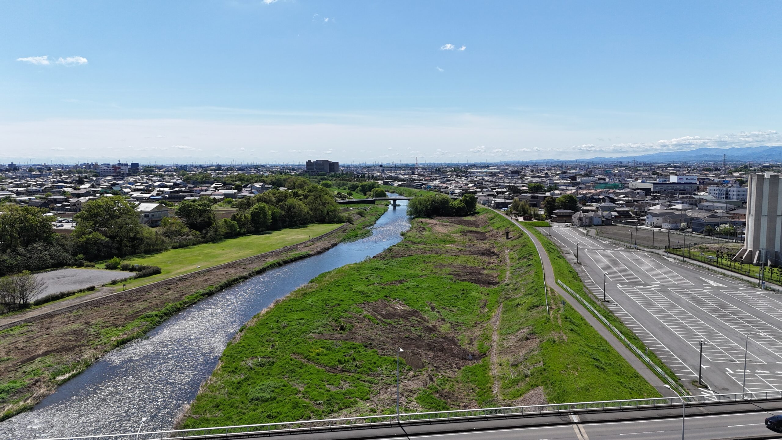 令和5年度工事　単独公共河川内緩衝帯整備（鳥獣害対策）伐木業務委託　工事写真